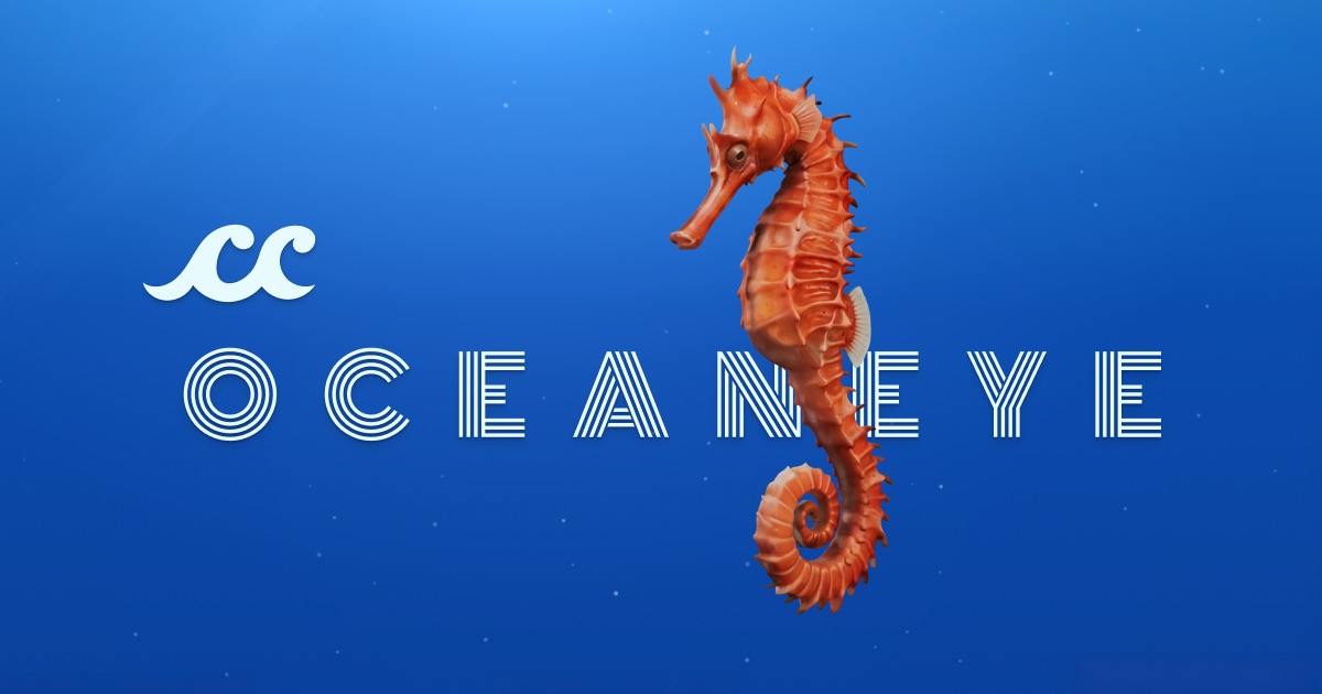 oceaneye.woodydesign.io image
